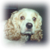 Sugar's Photo
